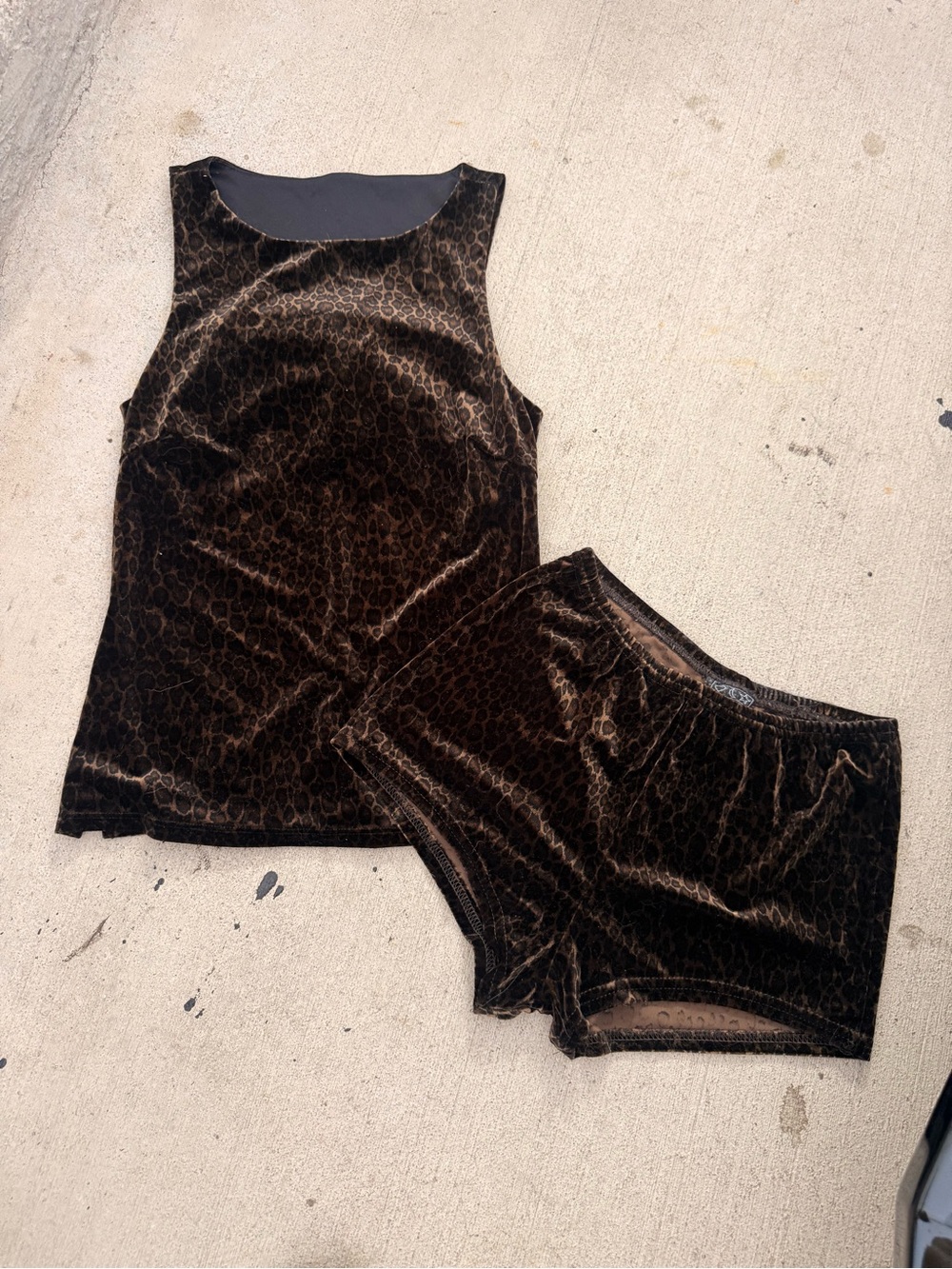 Vintage Velvet Leopard Matching Set